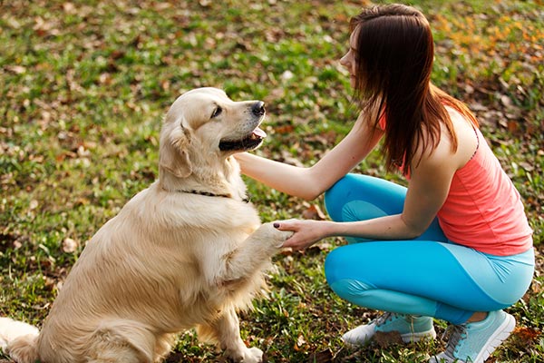 Expert Dog Trainer in Woodland View – Building Better Bonds Between You and Your Pet